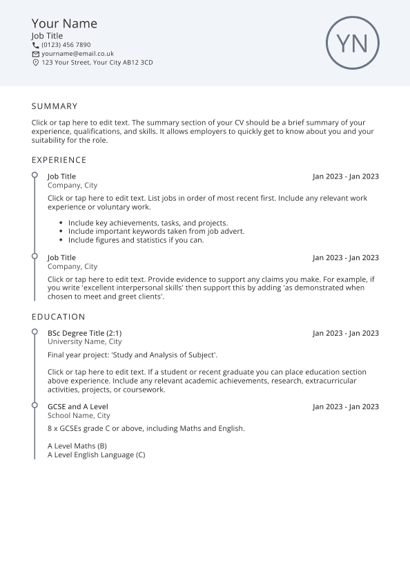 Executive CV template.